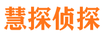 平阴侦探社